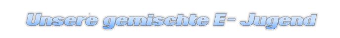 Unsere  gemischte  E -  Jugend