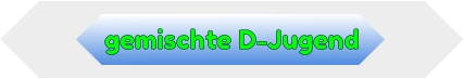 gemischte D-Jugend