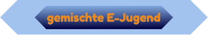 gemischte E-Jugend